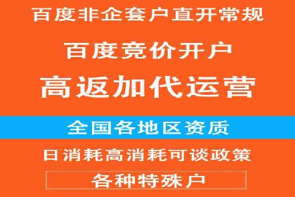 抖音平台：信息流广告案例分析